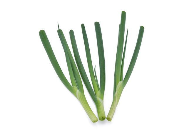 Green onion isolated