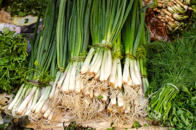 Green onions, parsley and dill on the market on the counter.