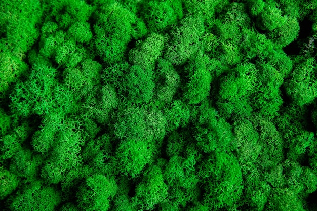 Green painted moss yagel for interior decoration