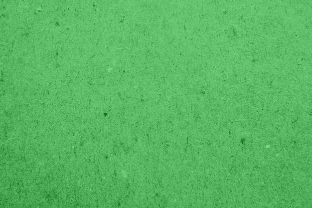 Green paper texture background close up