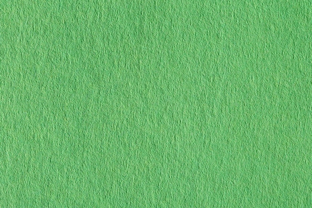 Green paper texture. High resolution natural macro photo.