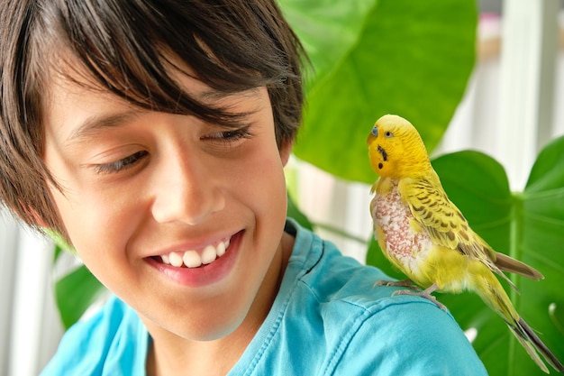 Green parakeet without chest feathers perched on the shoulder of a darkhaired boy who looks at him out of the corner of his eye