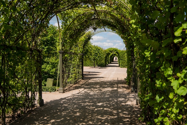 Green park on sunny summer day.