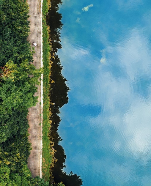 Green park and water drone top view vertical