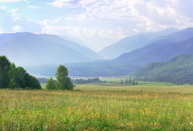 A green pasture against the background of mountains in the morning haze under a blue cloudy sky. Altai, Siberia, Russia