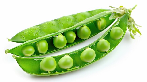 Photo a green pea pod with the word peas on it