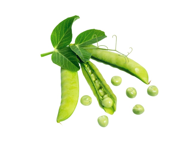 Green peas in pods with leaf and sprouts isolated on white background. Fresh pea pod.