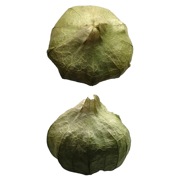 Green physalis fruits on an isolated white background. Autumn harvest.