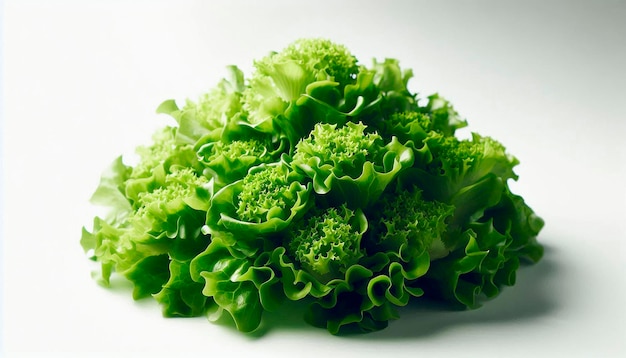 a green piece of lettuce is shown on a white background