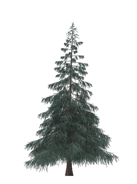 Green Pine christmas tree isolated on white background Banner design 3D illustration cg render