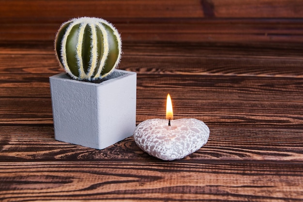 Green plant in gray flower pot on a wooden background