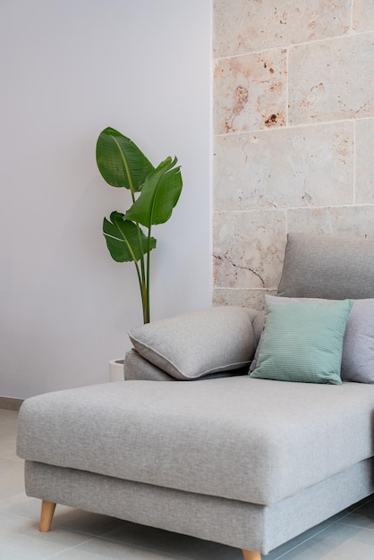 Green plant  next to a light grey living room sofa with pillows in front of a natural stone wall