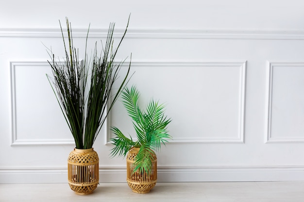 Green plants in vases and bright straw on the floor in front of a white wall