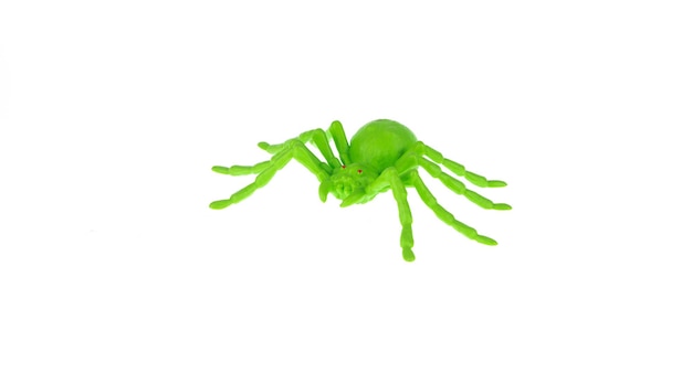 green plastic spider isolated on white background