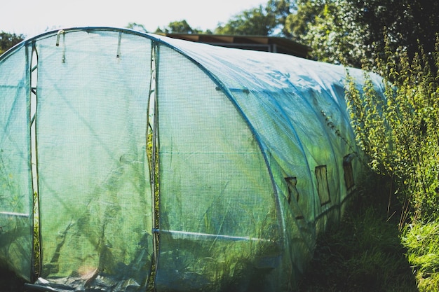 Photo green polytunnel in garden