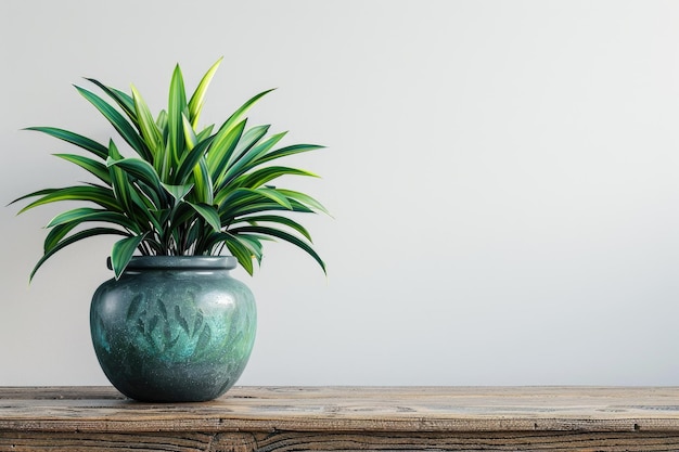 green potted plant on classic wooden table