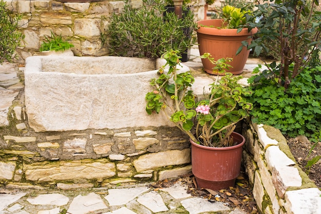 Green potted plants outdoor. Different potted plants and seedlings