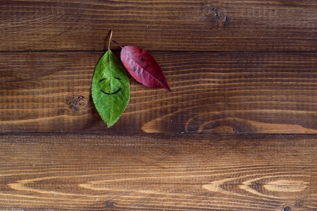 Green and red fallen leaves with a symbols of happy and sad faces 