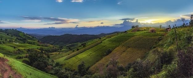 Green rice field And mountains at Pa Bong Piang Rice, Mae Chaem, Chiang Mai,Thailand.