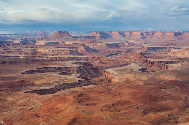 Green River Overlook early morning Canyonlands NP USA