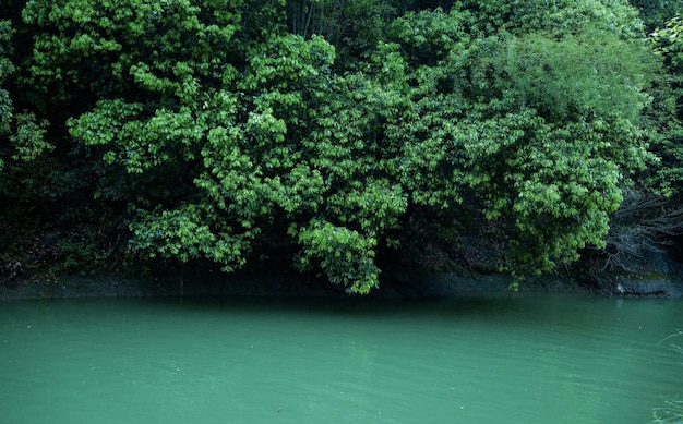 A green river with a boat in it