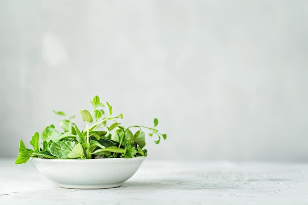 Green Salad on a White Table Flat Lay