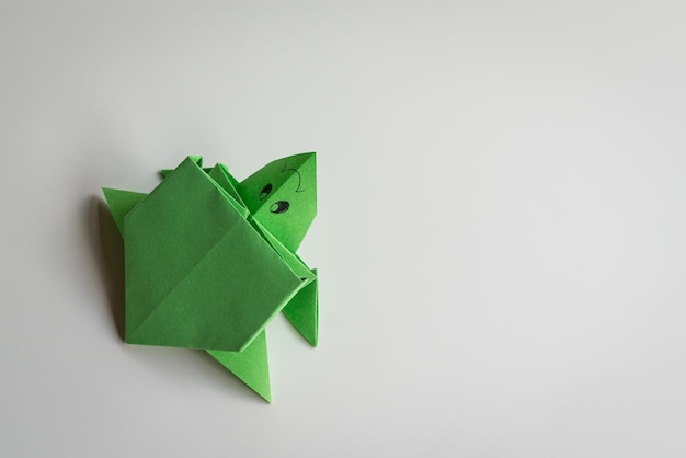 Green sea turtle origami