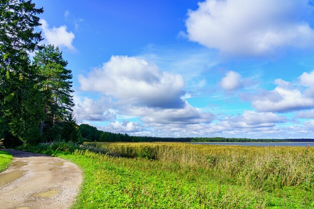 Green seaside landscape with white clouds on blue sky.