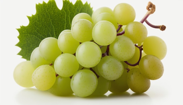 Green Seedless Grapes white background Generative AI