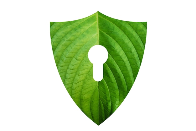 Green shield protects nature and protects the environment on white background