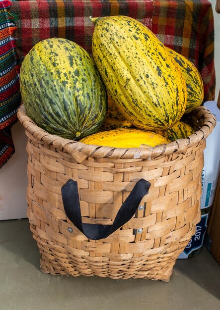 Green speckled melons in a straw basket