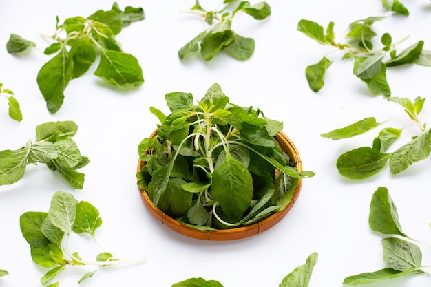 Green spinach on white background Top view