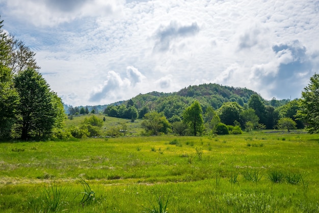 Green sunny meadow is a good place for meditation.