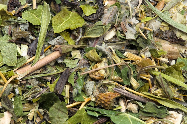 Green tea leaves close up background texture