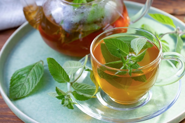 Green tea with mint in a transparent bowl Healthy food antioxidants