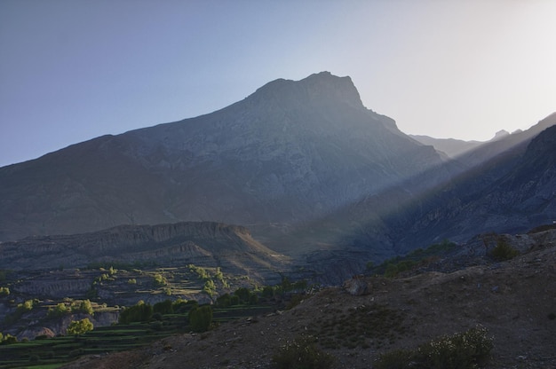 Green terraces under morning sunbeams in Himalayas