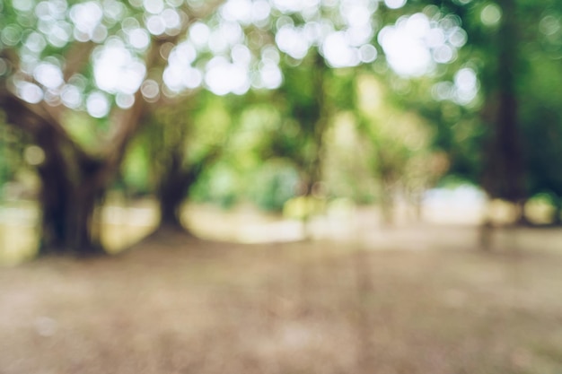 Green toned blurred nature bokeh public park with several trees