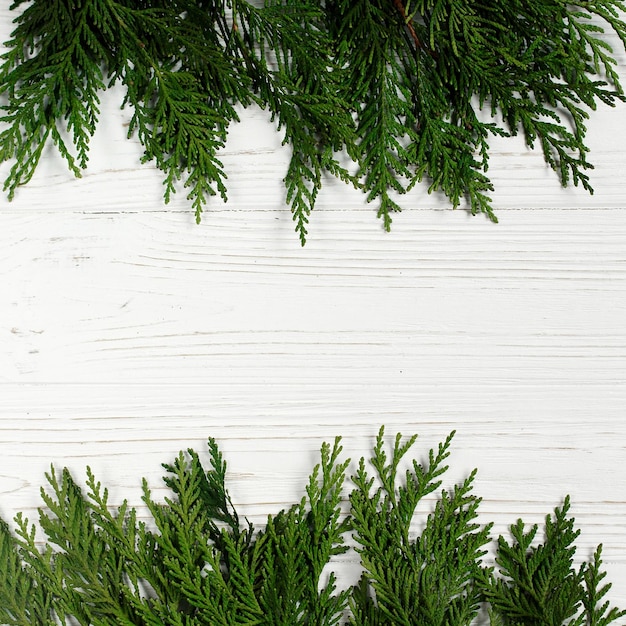 Green tree branches frame on stylish white rustic wooden background space for christmas text holiday greeting card concept unusual creative top view