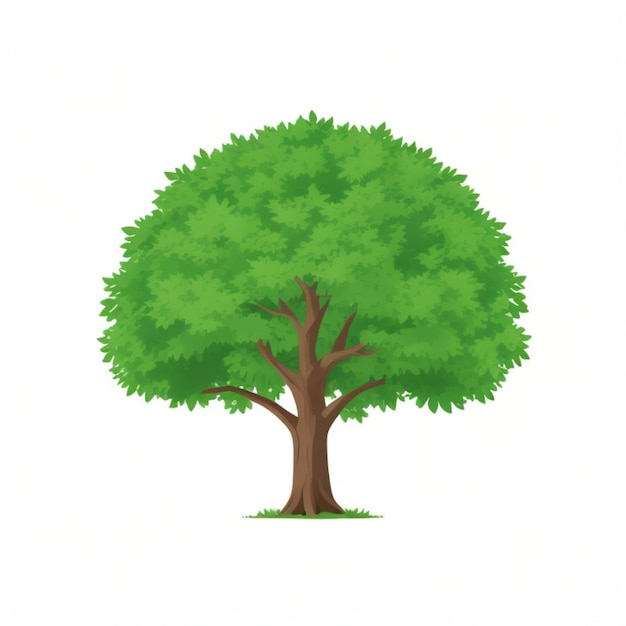 A green tree standing alone on a white background