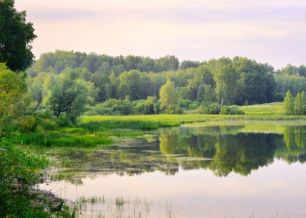 Green trees in summer are reflected in the calm surface of the lake