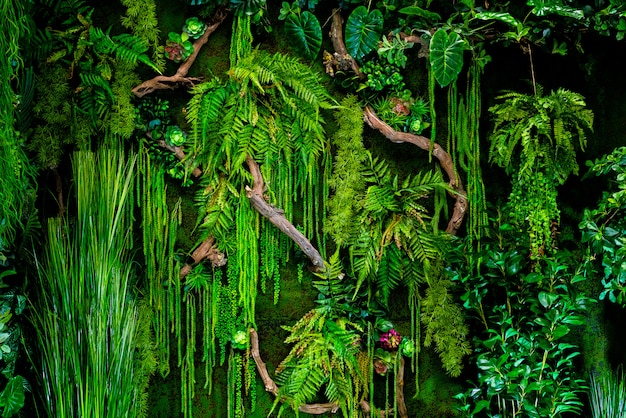 Green tropical floral background. Texture of natural green plants.