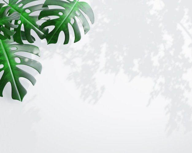 Green tropical leaves frame