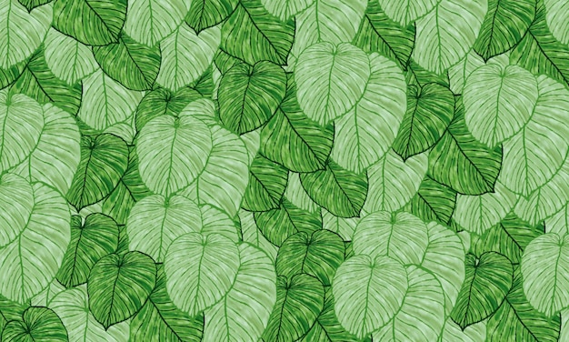 Green tropical leaves fresh spring,relax nature wallpaper background