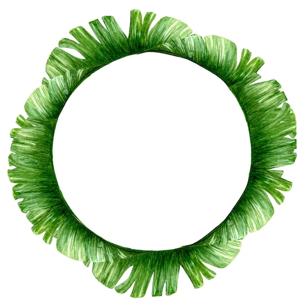 green tropical palm leaves wreath.