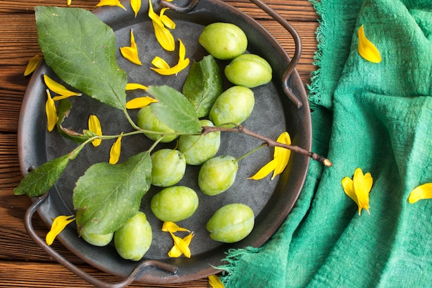 green unripe plums on a vintage plate Gardening