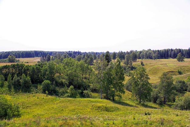 Green valley in Russia Ural