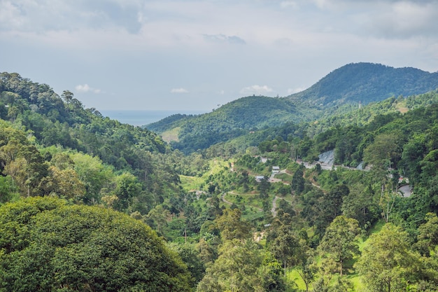 Green valley with blue hills and sea