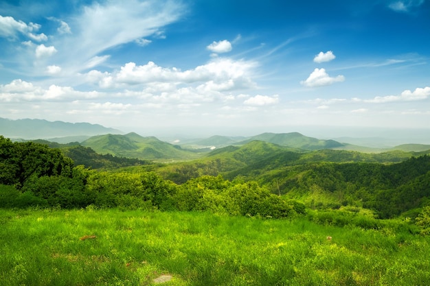 a green valley with a view of the mountains