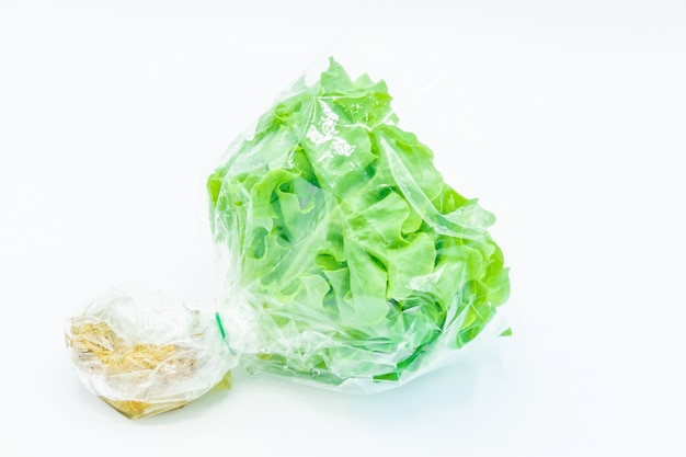 Green vegetable on white background