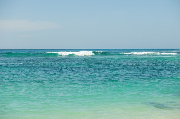 Green waves in the ocean